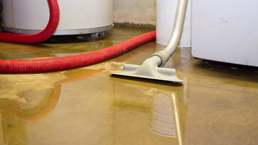 Wet vacuum removing water from a floor