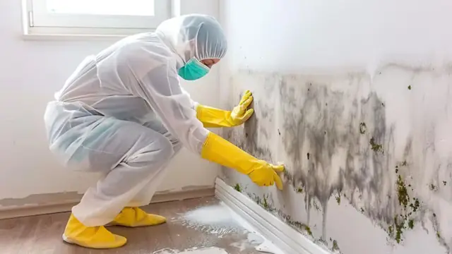 Worker in protective gear cleaning mold along a baseboard