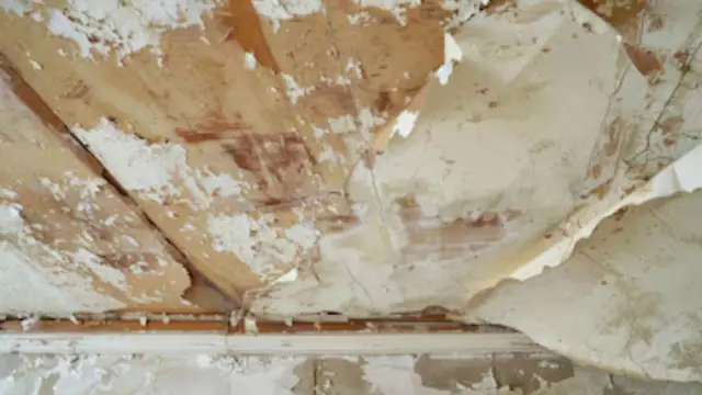 Peeling paint and a water stain on a ceiling
